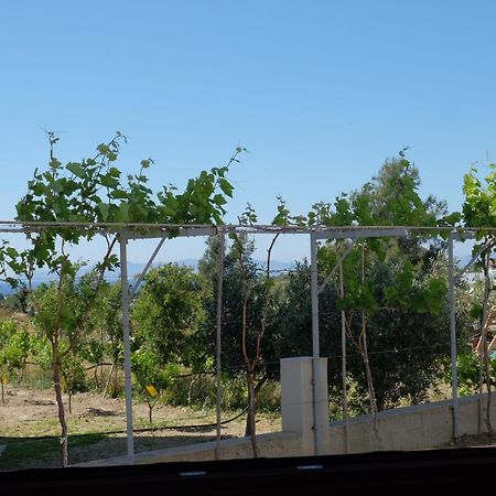 شقة Garden House Kremastí المظهر الخارجي الصورة